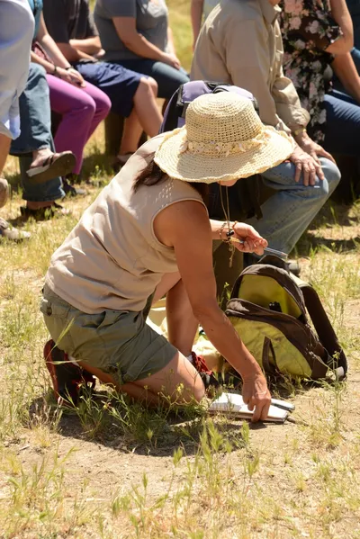 DSC_1665 (Large).JPG